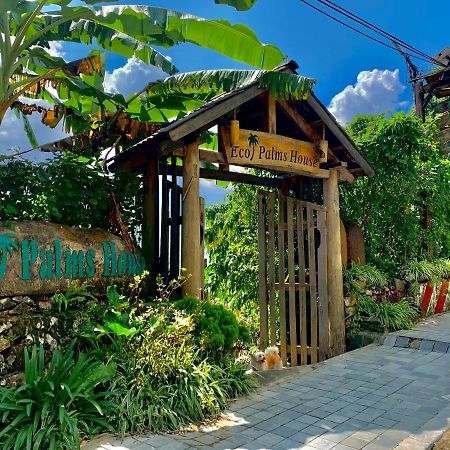 Eco Palms House - Sapa Retreat Hotel Eksteriør billede