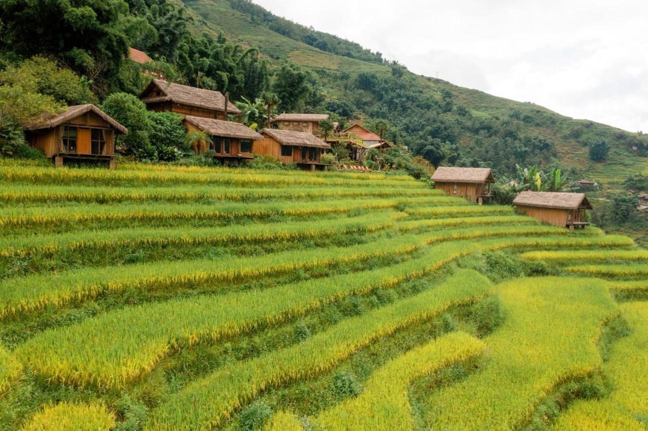 Eco Palms House - Sapa Retreat Hotel Eksteriør billede
