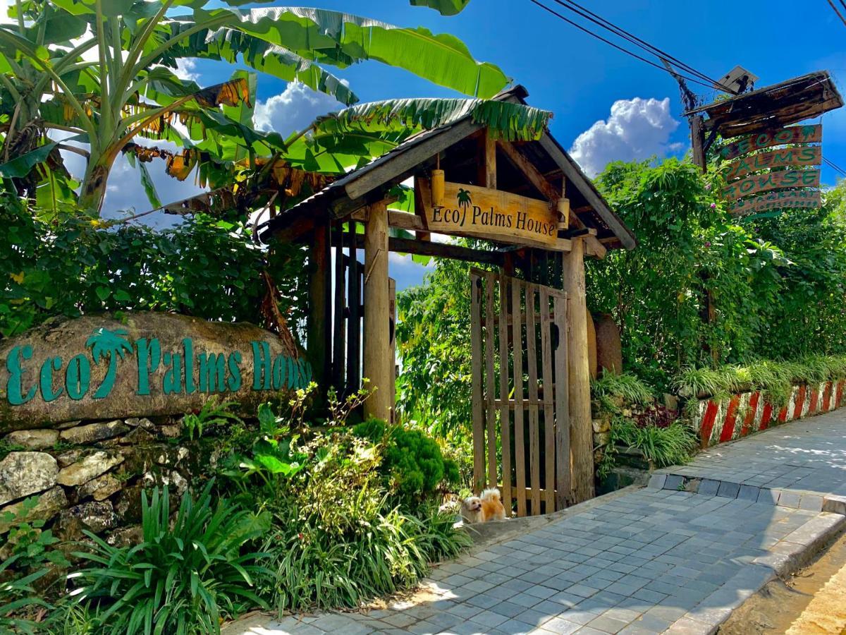 Eco Palms House - Sapa Retreat Hotel Eksteriør billede