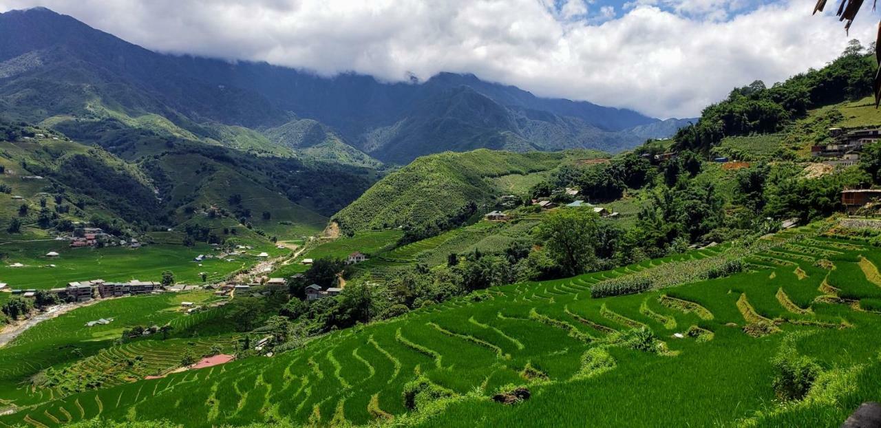 Eco Palms House - Sapa Retreat Hotel Eksteriør billede