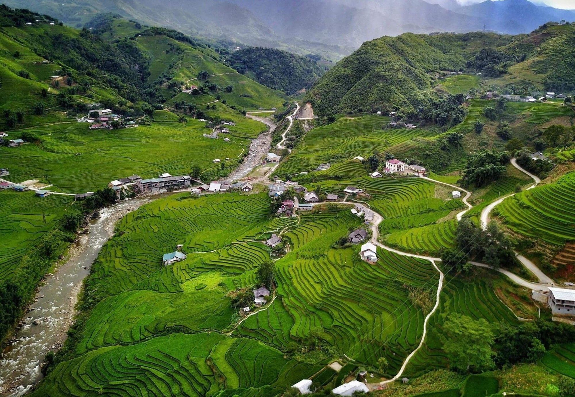 Eco Palms House - Sapa Retreat Hotel Eksteriør billede